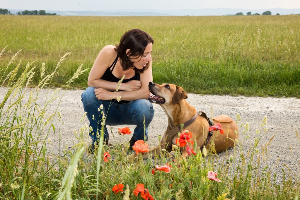 Mythen Mensch-Hund-Bindung